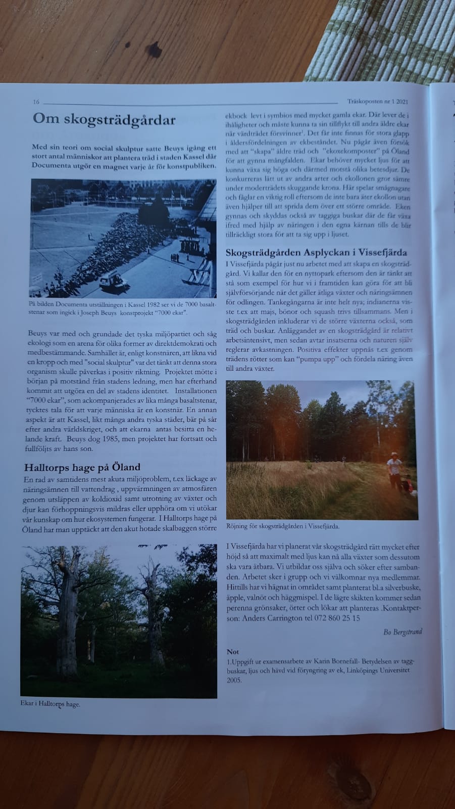 Park Article