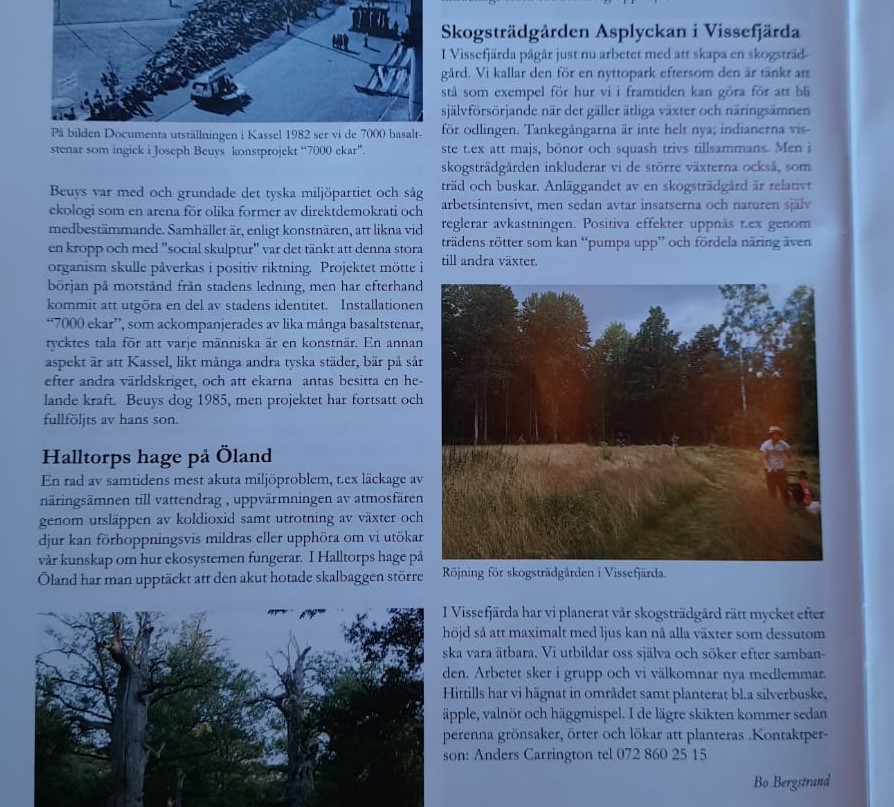 Parkens första artikel