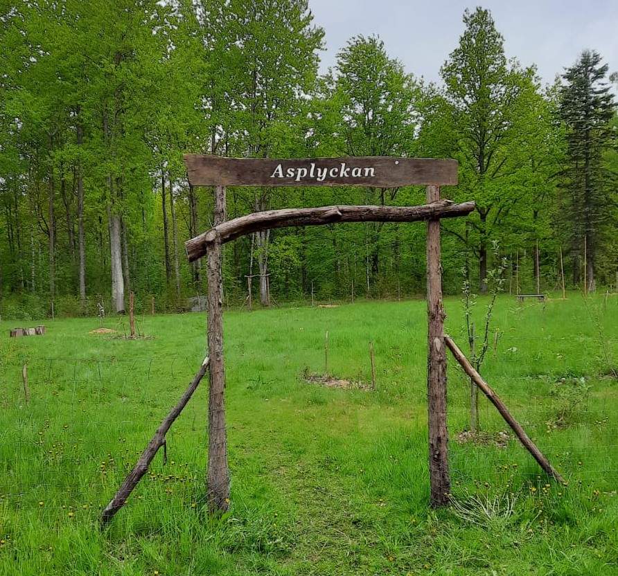 Logo over gate