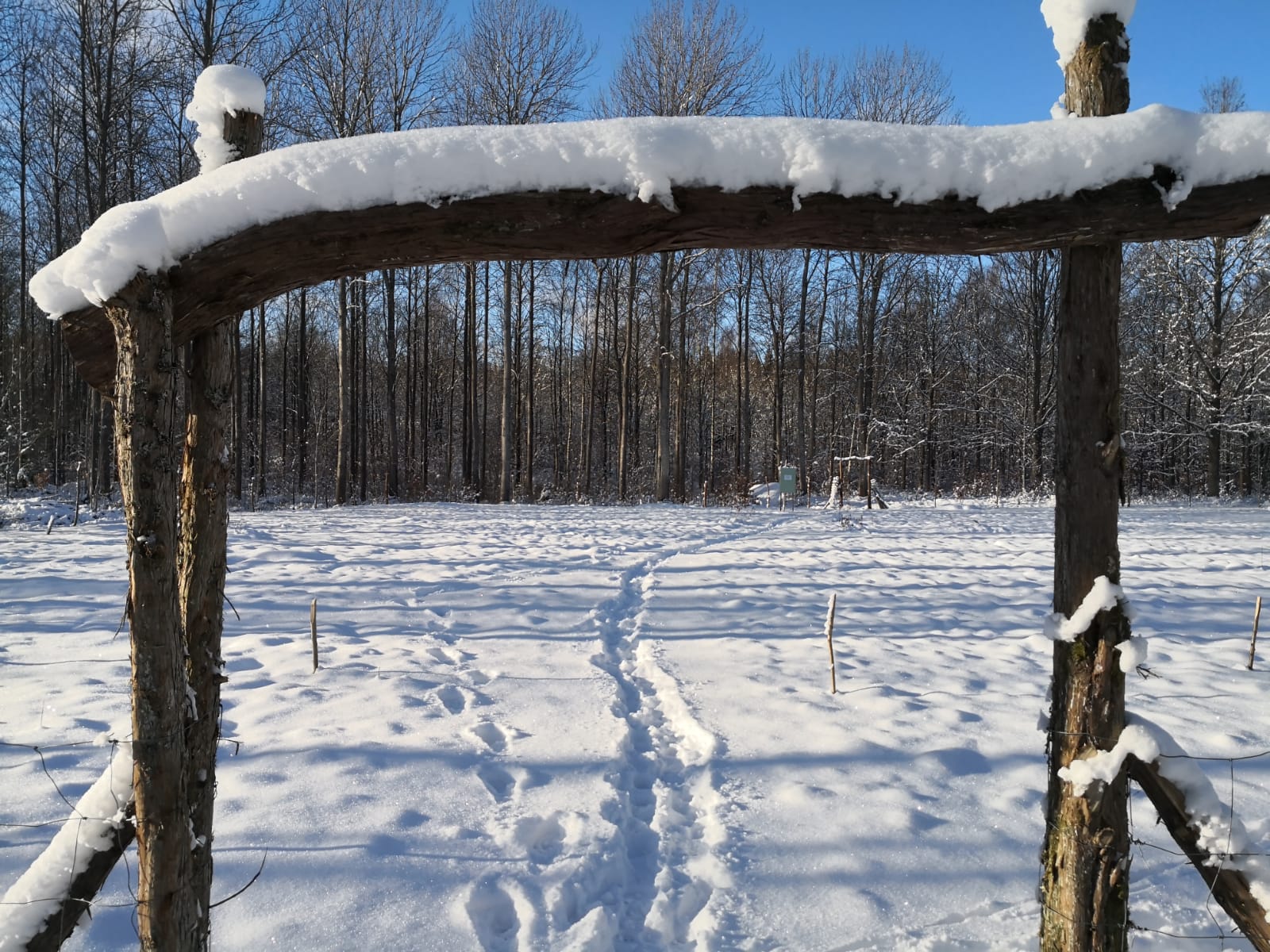 Parkens första vinter