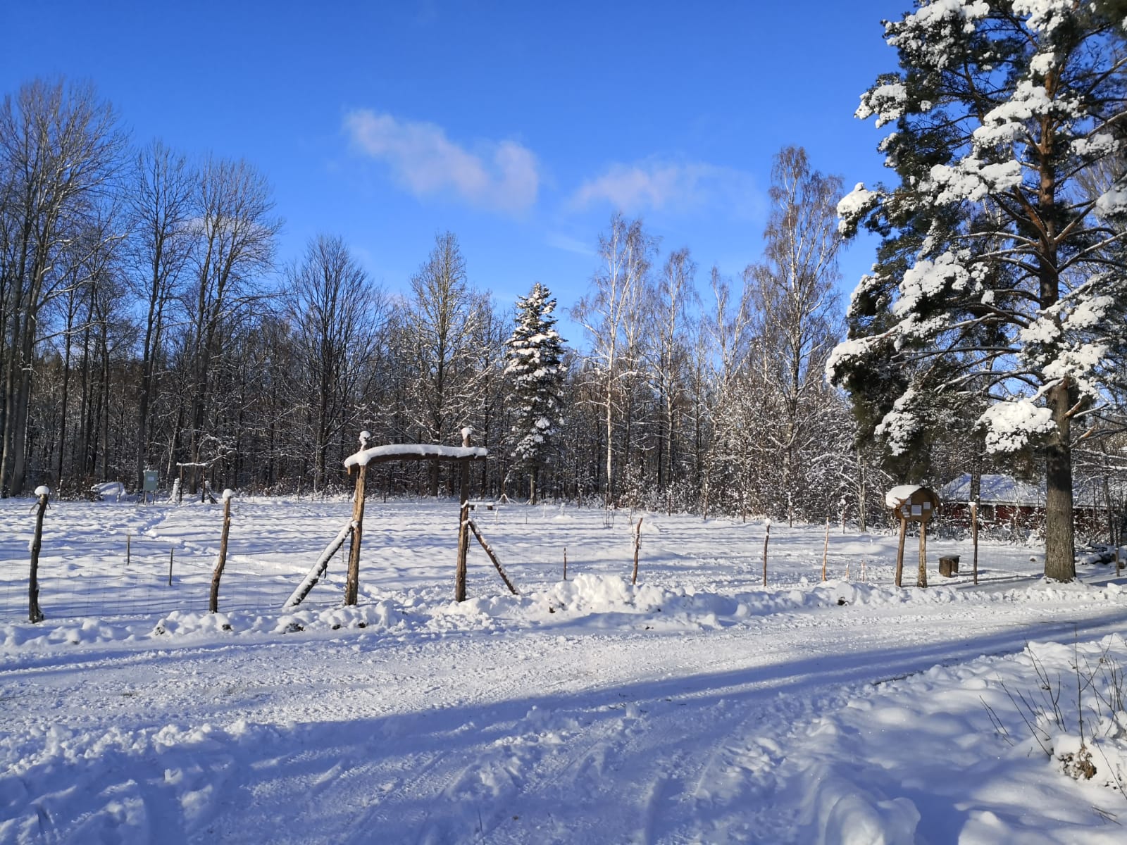 Park Snow